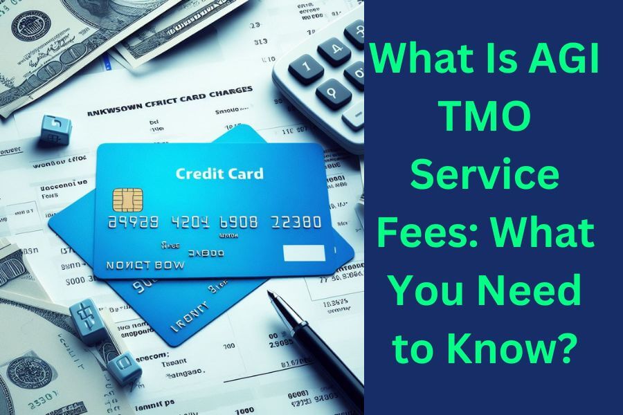 AGI TMO Service Fees