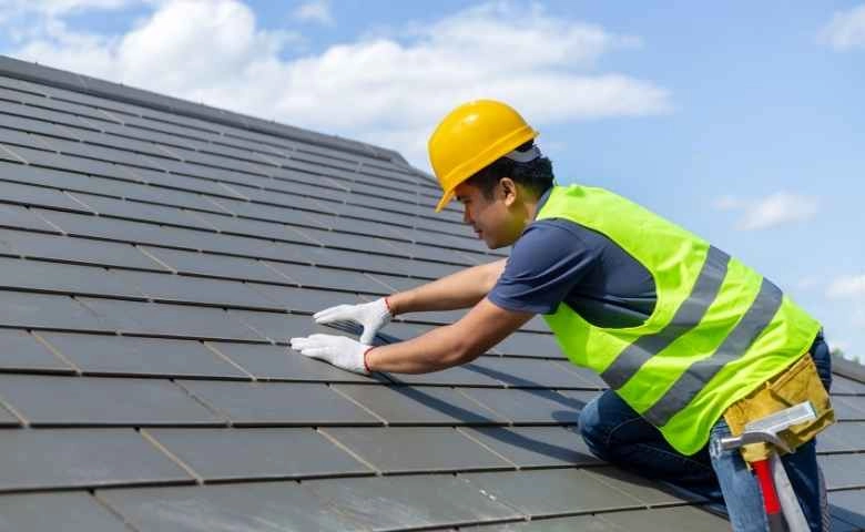 Roof Drainage 101: Everything You Need to Know to Protect Your Home