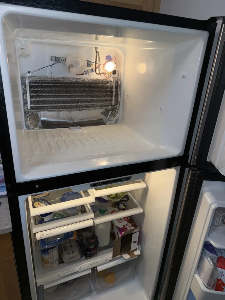 Common Freezer Problems That Require Professional Repair